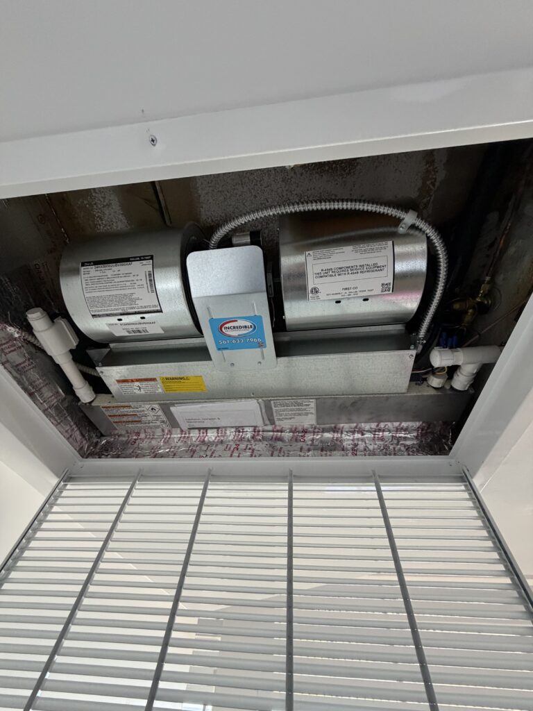 IMG_3942 Jorge Gonzalez